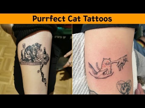50 People Who Got Absolutely Purrfect Cat Tattoos 😻