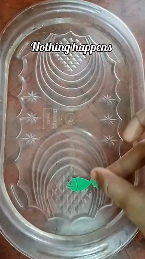 Swimming fish experiment 🧪