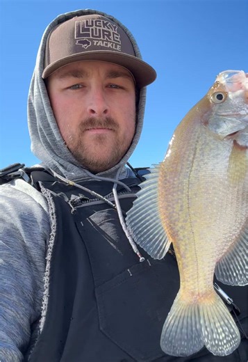 Crappie Fishing Success at Lake Arcadia