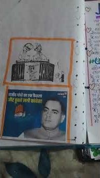 #class 12#poltical science #project file 🗄️