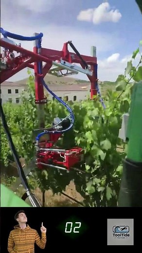 Top VINEYARD Expert Reveals Best Techniques for Tying Grapevines with Precision