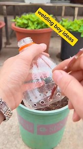 1M views · 6.7K reactions | Diy planting technique idea video #fblifestyle | Welding Boy ideas | Facebook