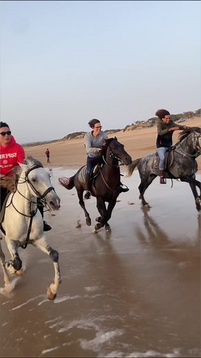 Fast gallop with stallions on the beach #horsesofinstagram #horse #equestrian #horseriding #dressage #horsegirlenergy #equine #instahorse #cavalos #horselove #pony #horsegirl #cowgirl #country #horseshow | Oussama_horserider