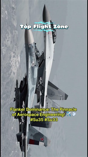 Flanker Dominance: The Pinnacle of Aerospace Engineering! ✈️💨 #Su35 #Su33