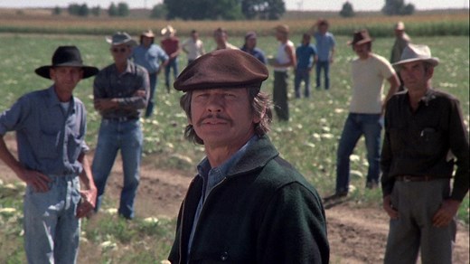 Watch Mr. Majestyk for Free Online | Pluto TV