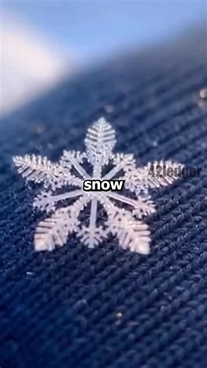 @42ledger on Instagram: "Revealing where SNOW truly originates from…"