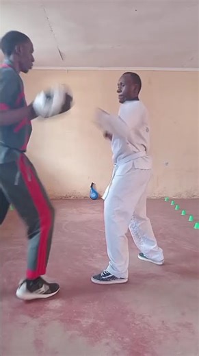 Introduction to basic karate punch and kick combinations.