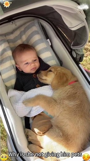 mind you , he’s known her for over a year now #wlw #stepstu #ltf #labla