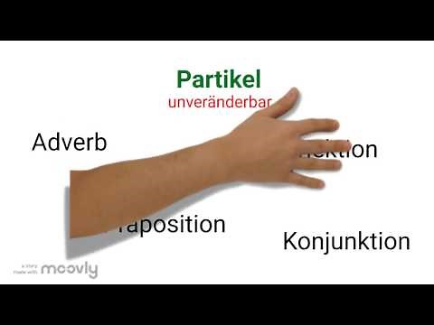 Partikel