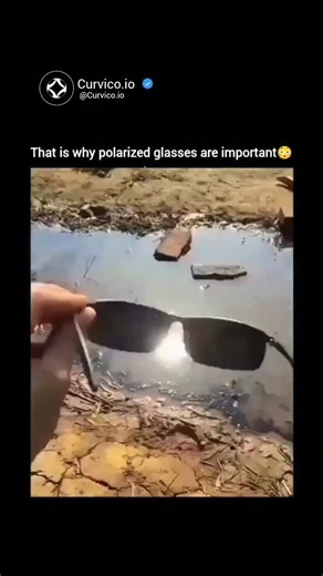 Curvico Explained on Instagram: "Polarized glasses are special eyewear designed to reduce glare and improve visual clarity, especially in bright outdoor environments. They contain a thin chemical filter aligned in a vertical pattern, which blocks intense horizontal light waves-these waves are usually responsible for harsh glare coming from surfaces like water, roads, car hoods, or snow. When light reflects off these shiny surfaces, it becomes polarized and creates a blinding effect, but polarize