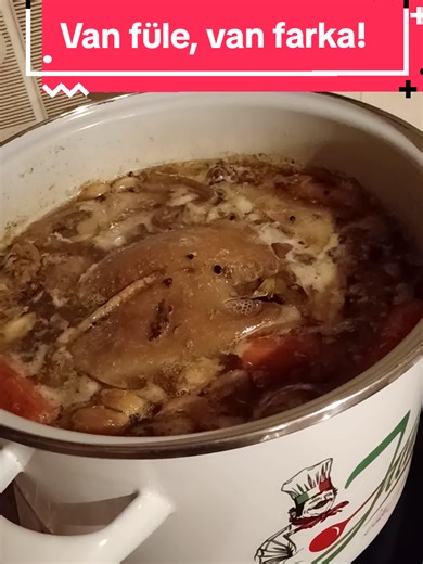 Ha tél, akkor kocsonya. Természetes kollagén. Jót tesz az ízületeknek, hajnak, bőrnek körömnek. Nem kapkodtam el, reggel óta főzöm lassú tűzön. Amíg kihullanak a húsból a csontok. Mert mi így szeretjük. Regenor kúrában is fogyasztható. Te hány órán át főzöd a kocsonyát? Írd meg kommentbe! #kaja #diet #regenor #neked #fory