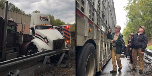 Crash involving cattle trailer, ambulance closed North Carolina interstate for hours
