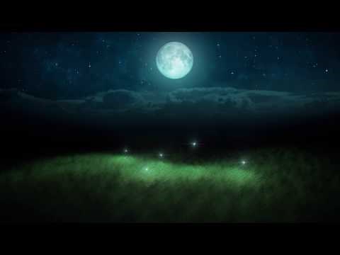 Enchanting Summer Night with Lightning Bugs and Relaxing Nature Sounds