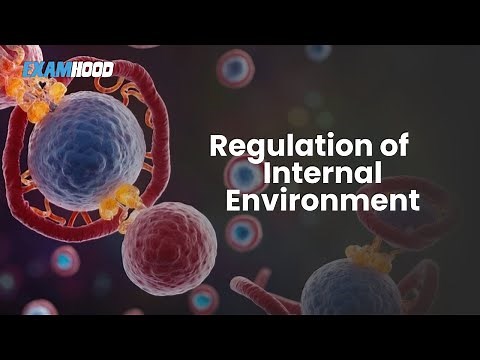 Homeostasis: Regulation of internal environment