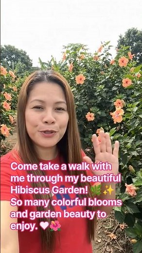 Hibiscus Farm Tour 🌸 A Stunning Garden Full of Blooms!