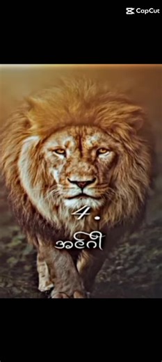 Allison Baker သည် TikTok ပေါ်တွင် ရှိသည်