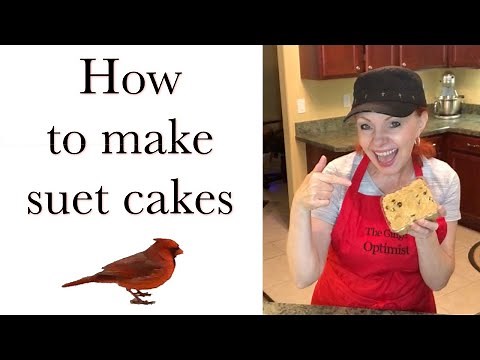 How to make Suet Cakes for Birds #birds #birdfeeder #suetcakerecipe