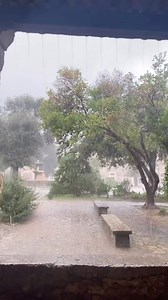 Así despierta Lluc hoy ☔️ #mallorquinament #mallorquines #mallorquins #mallorcalovers #palmamallorca #mallorcaisland #mallorcaesbien #mallorcamola #mallorcatestim #mallorcapasoapaso #palma🌴 #mallorquinesporelmundo #islabaleares #ilesbaleares #balearesmola #mallorquí #palmamallorca #mallorca2024 #mallorcalife #mallorquin #mallorquina #pagesos #palmademallorca🌴 #islasbaleares #baleares #palmademallorca #mallorca #palma | Virales Mallorca