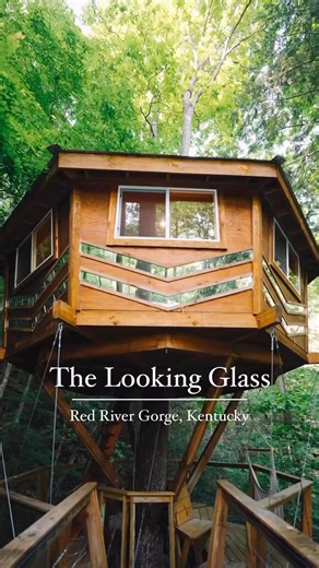 Save this post for when you’re ready to have a treehouse getaway at The Red River Gorge, Kentucky ✨ Credits: @canopycrew | Tiney Homes Life
