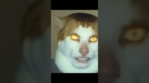 【meme】Monday left me broken 一小时