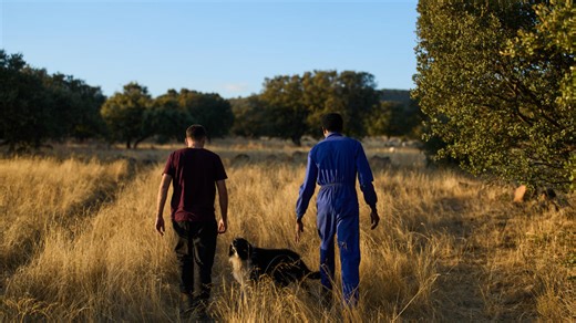 Why Spain is offering amnesty to 500,000 undocumented migrants