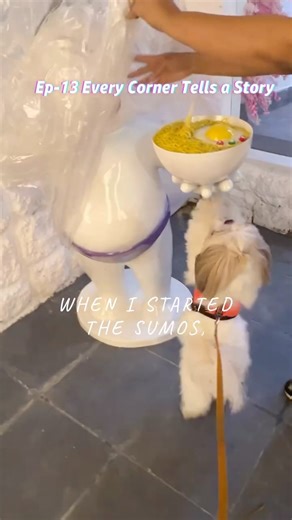 The Sumo's on Instagram: "Ep- 13 This Festive Season - Fresh Again I purposely kept The Sumos space simple in the beginning—because I wanted to fill it with love, experience, and growth over time. Because some spaces aren’t built in a day—they’re grown with heart. 💜 [TheSumos, Festive Vibes, Modern Asian Restaurant, Kolkata Restaurant, Pujo Special ]"