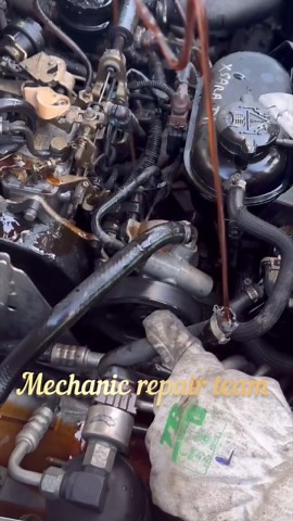 Mechanic Repair Team on Instagram: "How to check power steering pump?邏兩"