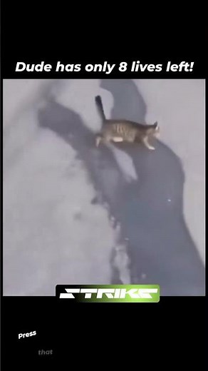 Press that follow button for more exploding videos daily #explosion #cat #blast #explode