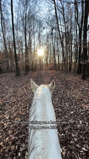 Cremello Horses: A Lifelong Passion for Equestrianism