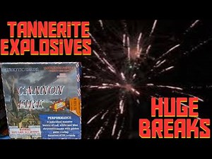 9️⃣shot 500gram: CANNON FIRE (Tannerite Explosives) *Consumer Tannerite???* #fireworks #loud #pyro
