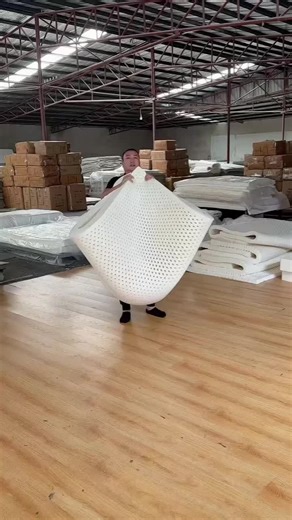 Product Insider on Instagram: "Link in Bio - This luxurious 4-layer mattress is made of natural latex, a healthier alternative to synthetic rubber. Its 4-layer construction provides maximum comfort and support. The latex is infused with gel to give an extra bounce. ⁠ ⁠ Product: 4-Layer Japanese Style Natural Latex Mattress⁠ ⁠ 1️⃣ No copyright intended—DM for any inquiries."