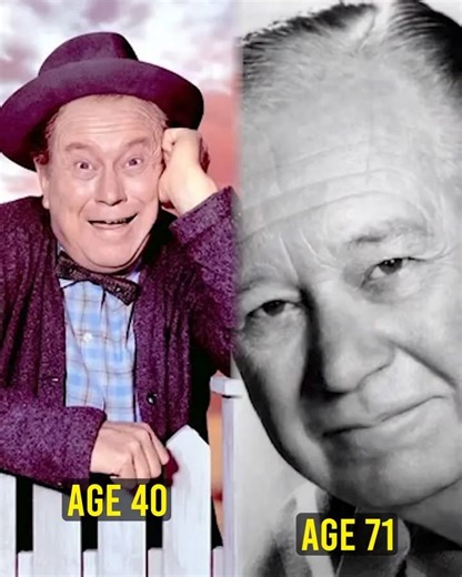 As Uncle Joe, he brought laughs to Petticoat Junction — here’s a look back at Edgar Buchanan’s long career. | Do You Remember When
