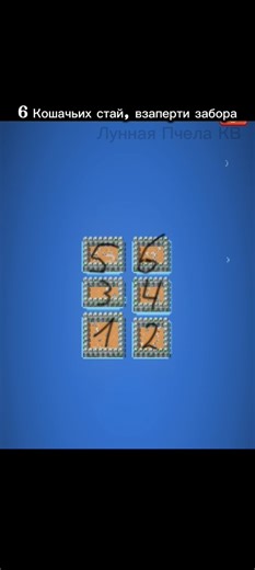 ⛓11:19⛓ 6 Кошачьих стай, взаперти забора! (World Box)