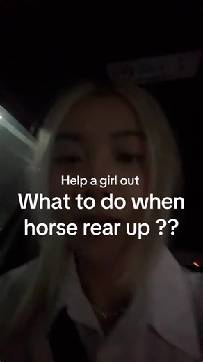 Horse Rearing: What to Do When Your Horse Rears Up