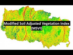 How to calculate Modified Soil Adjusted Vegetation Index (MSAVI) in ArcMap || Vegetation Indices