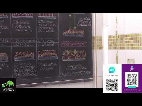 Histología animal I (clasificación de tejidos y tejido epitelial)