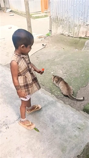 #cute