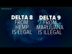 Delta 8 vs. Delta 9 THC