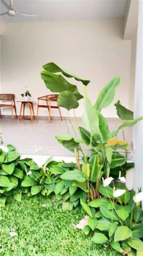 Safety + style Perforated Rolling Shutter- see Through Security