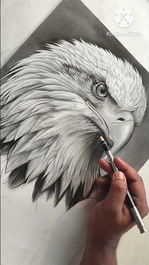 Majestic Eagle Drawing 🦅🔥 | Easy Step by Step #shorts