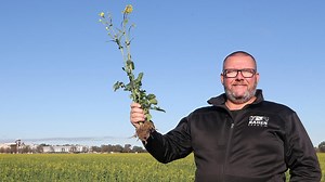 Input prices returning ‘to more affordable levels’