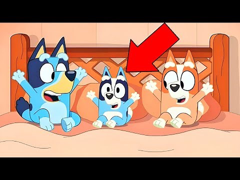 Chilli's New Baby? Everything We Know About The New Episodes Of Bluey!