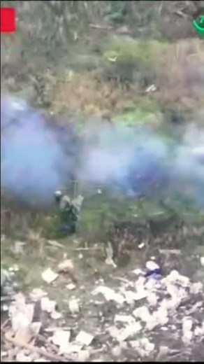 A Pig Saves Soldiers from a Landmine – Unbelievable Real Footage” #russia