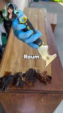 Wann hat die Unterstützung deiner Eltern tatsächlich in einen Weg umgeschlagen, deinen Erfolg zu