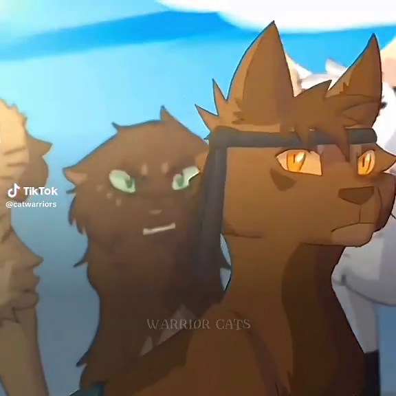 Cat Warrior Edits with Leopardstar in CapCut