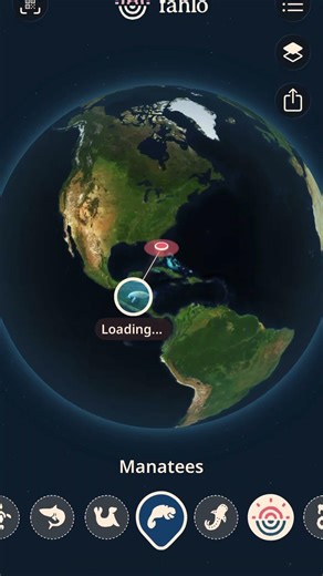 I’m Following a Real Manatee… Thanks to This Bracelet