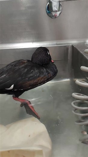 18K views · 452 reactions | Another successful patient story! This...