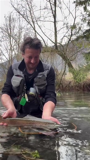 #flyfishing #fishing #fyp #fishingtour #flyfishingnation | fly fishing