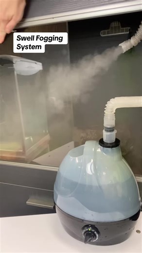 Boost Terrarium Humidity with Swell Fogging System