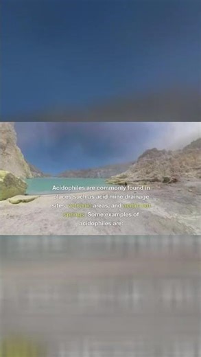 Acid-Loving Microbes: Extracting Metals from Toxic Waste!